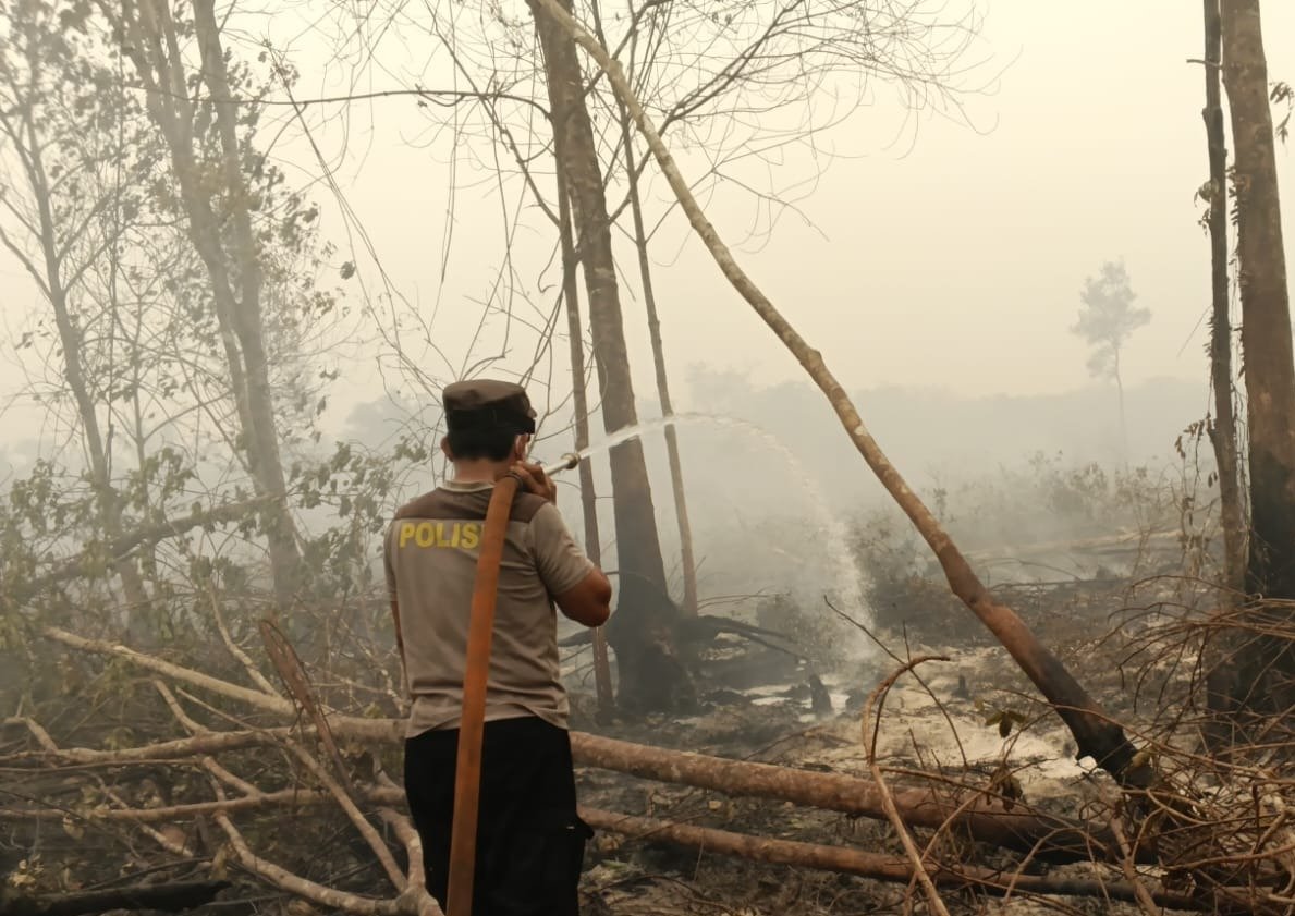 Antisipasi Api Kembali Menyala, Satgas Karhutla Lanjutkan Pendinginan di Bukit Tunggal