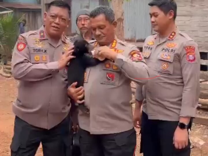 Tak Hanya Padamkan Api, Polri Selamatkan Anak Beruang Madu Terdampak Karhutla