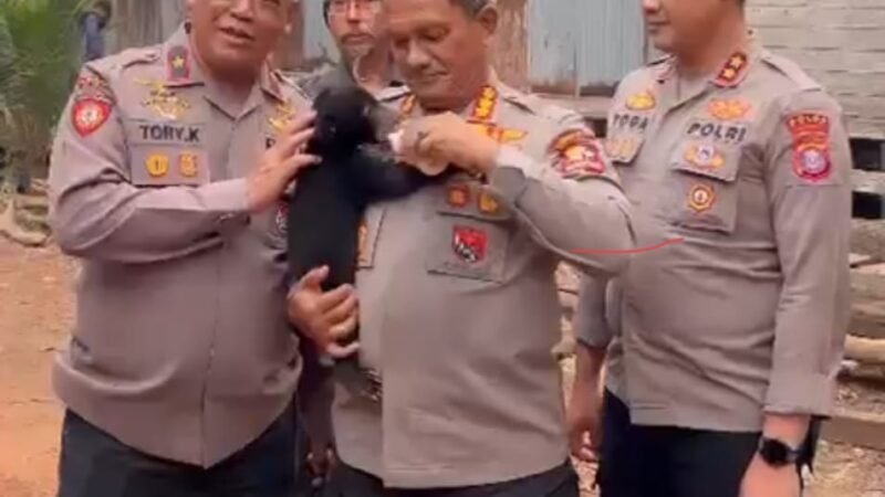 Tak Hanya Padamkan Api, Polri Selamatkan Anak Beruang Madu Terdampak Karhutla
